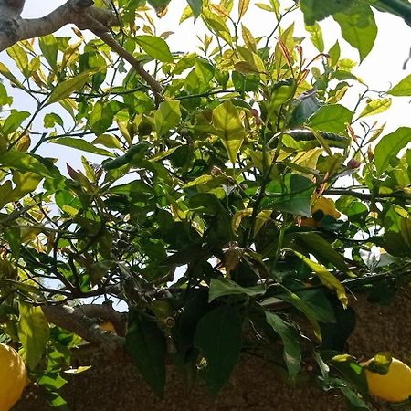 La Pica Marina Anacapri Lägenhet Exteriör bild